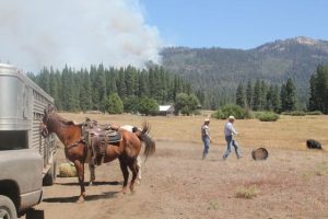 Ackerson Meadow Ranchers During Rim Fire