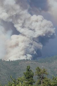 Rim Fire Over 200,000 Acres
