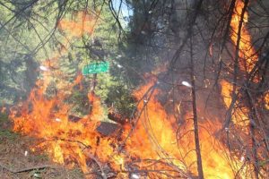 Rim Fire Ranchers Benefit This Saturday