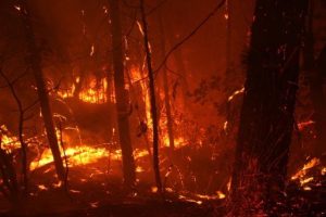 Evacuation Order In Mariposa County