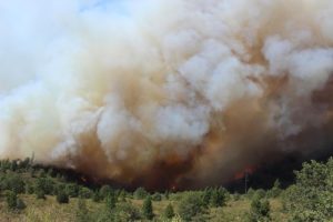 The Latest Facts On Rim Fire