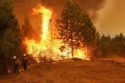 Rim Fire flames