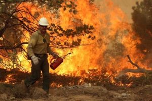 Rim Fire Test Lines