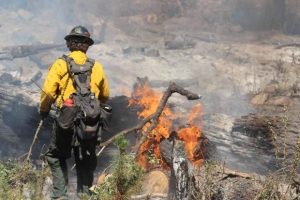 Rim Fire Costs Exceed $100 Million