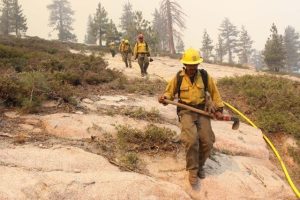Cost To Fight Rim Fire Grows