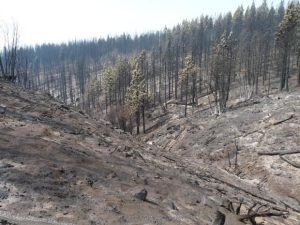 Flash Flood Watch For Rim Fire Burn Area