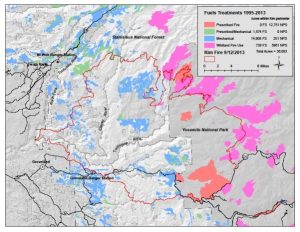 Did Prescribed Burns Work In Rim Fire?