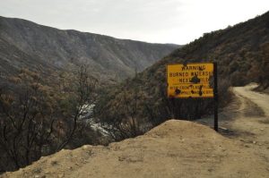 Rim Fire Environmental Losses