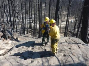 Rim Fire Emergency Assessment