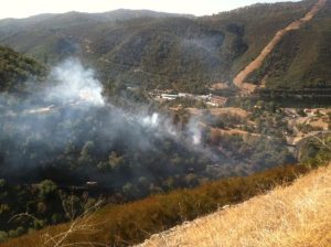 Several Vegetation Fires Sparked