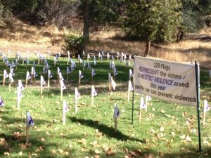 Flags Target Domestic Violence