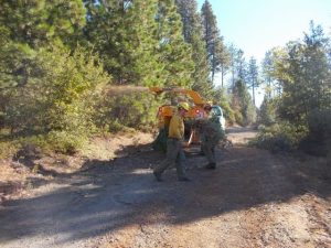 Rim Fire Repairs Continue In Forest