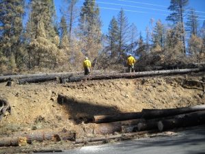 Governor Signs Rim Fire Executive Order