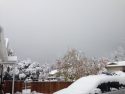 Snow in the Mother Lode
