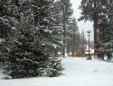 Dorrington Snow Accumulation