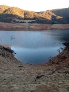 Water: Focus Of Community Forums