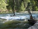 Merced River