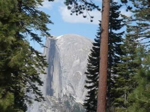 Yosemite Brush Burning