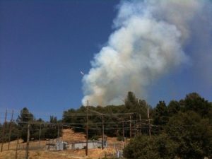 Vegetation Fire In Standard Not Threatening Structures