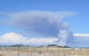 Fire In Stanislaus National Forest At 150 Acres