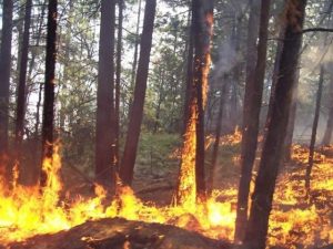 Firefighters Continue To Battle Knight Fire