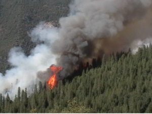 Crews Continue To Battle Knight Fire