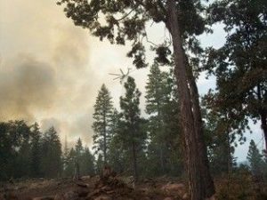 Knight Fire Reaches 25 Percent Containment
