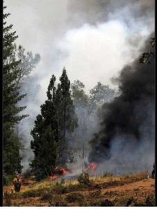 Officials Determine Cause Of Knight Fire
