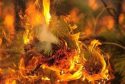 Fire Photo