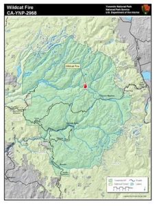 Yosemite’s Wildcat Fire Surpasses 900 Acres