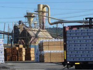Timber Industry Boom?
