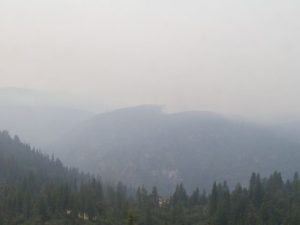 Foresta Big Meadow Fire Now 2,244 Acres