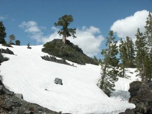Final Snowpack Survey Monday