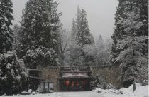 Winter In Yosemite