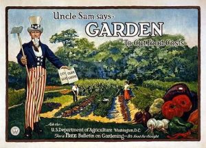 Gardening during COVID-19
