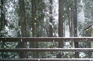 Power Outage And Snow Hits Twain Harte