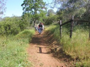 Hiking at New Melones