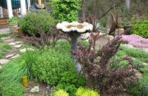 Corsa Garden Birdbath