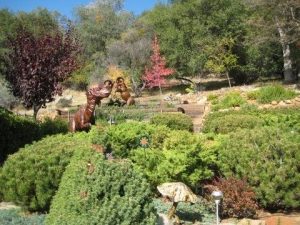 Control Spider Mites Naturally