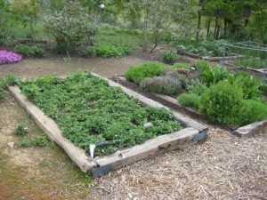 Smart Irrigation