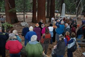 Over Four Million Yosemite Visitors