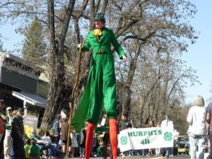 Leprechauns Rule In Murphys
