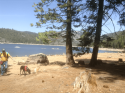 Pinecrest Lake water levels