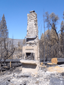 Rim Fire Salvage Logging Soon?