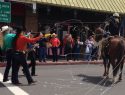Coyote Sam Gang hit Sonora