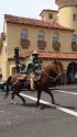 Coyote Sam Gang in Sonora