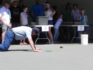 Calaveras County Fair and Jumping Frog Jubilee Photo taken by: BJ Hansen