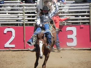 Saddle Up, It’s Rodeo Time