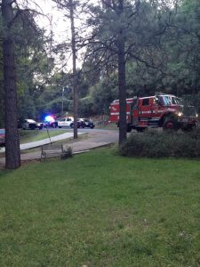Emergency Crews respond to fallen tree