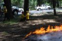 Make-A-Wish Program In Yosemite